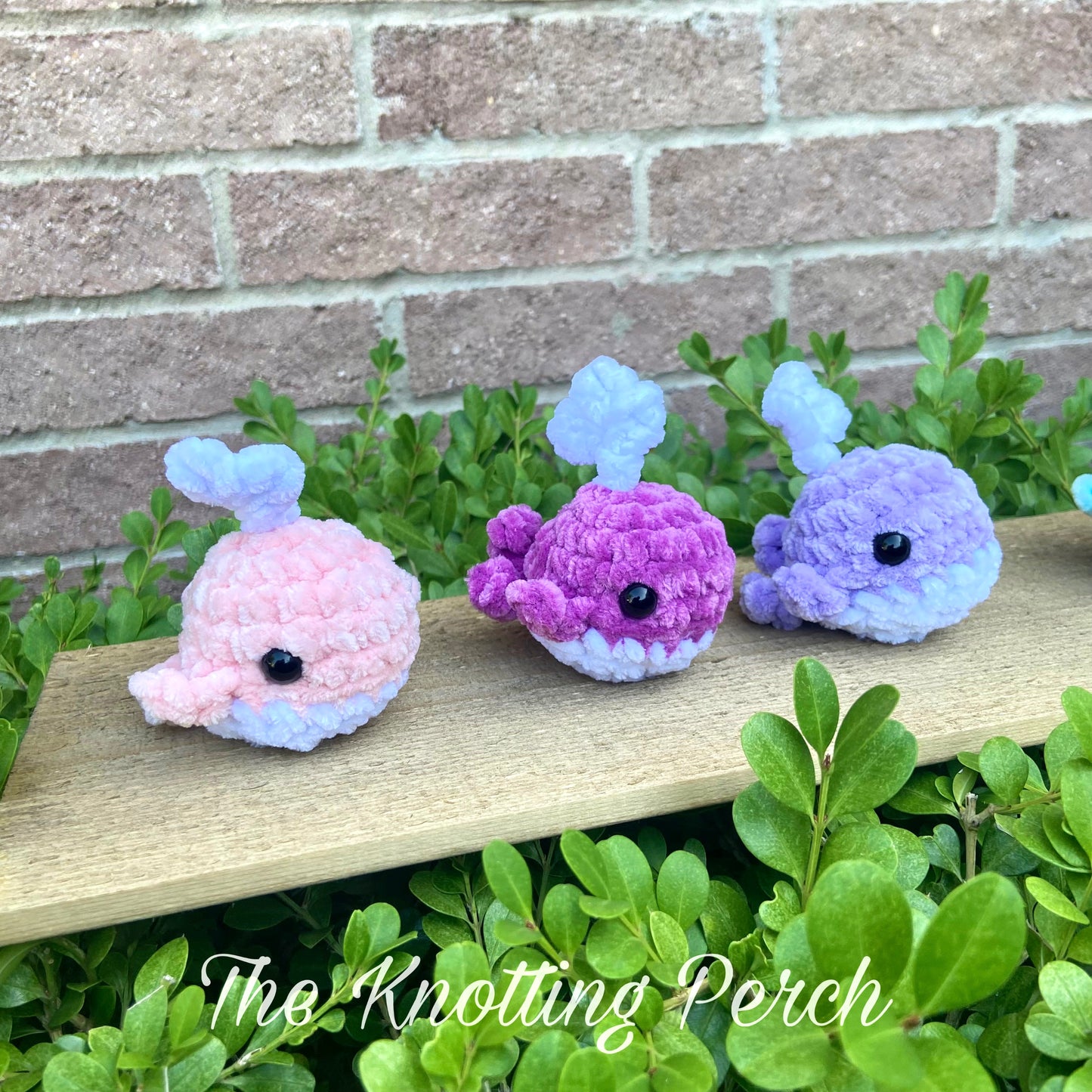Mini Crochet Whale with Water Spout