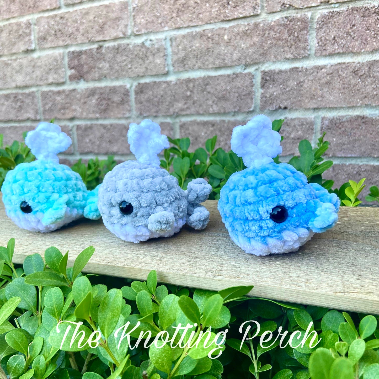 Mini Crochet Whale with Water Spout