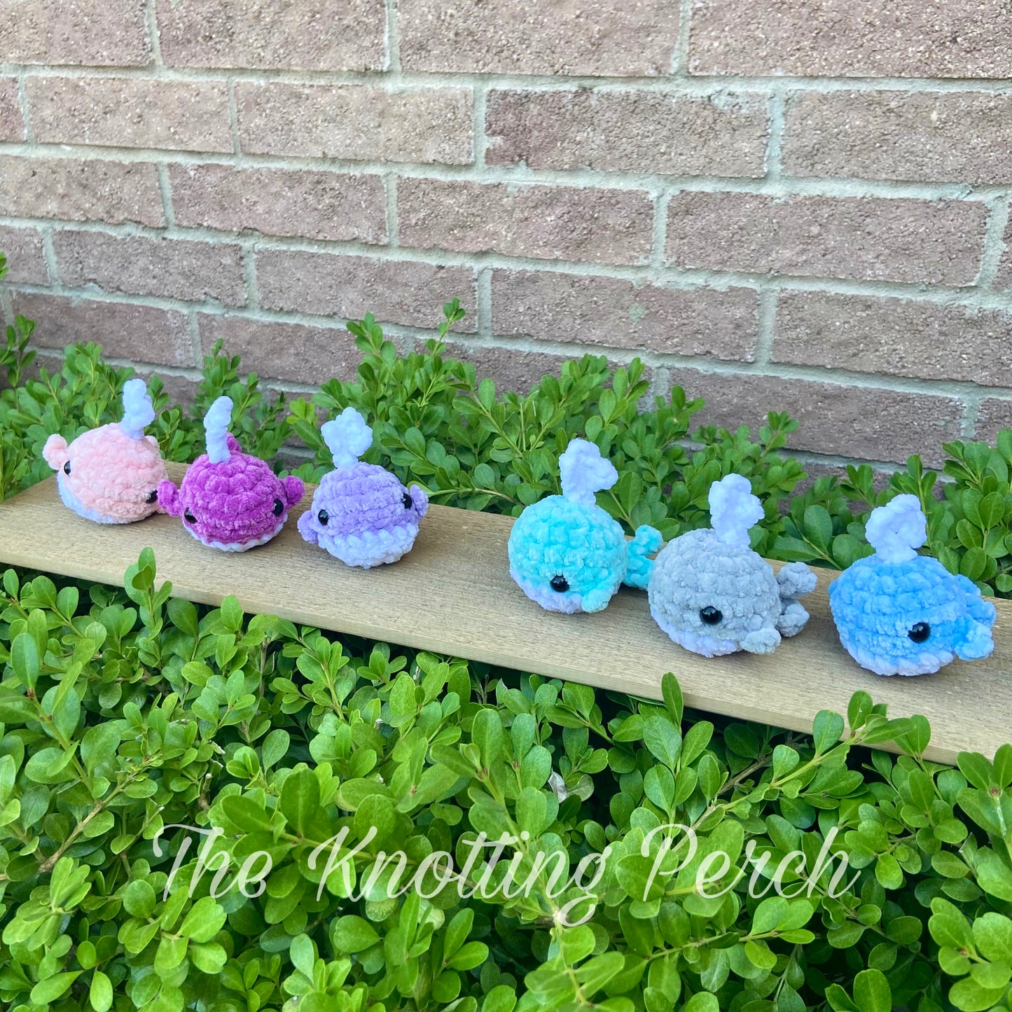 Mini Crochet Whale with Water Spout