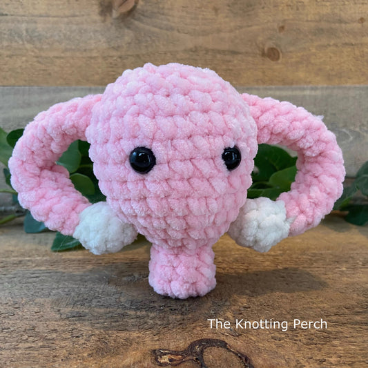 Crochet Chunky Uterus Plushy, Feminine Health Awareness Gift, Hysterectomy Gift, Good Bye Uterus